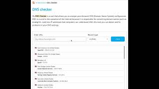 DNS checker  Free SEO tool [upl. by Atterys214]