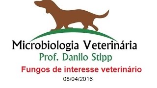 Micro Vet 20152 Aula 11  Fungos de interesse veterinário [upl. by Dickenson]