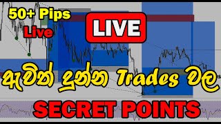 Live එකේ දුන්න Trades වල රහස් ඔක්කොම  සිංහලෙන්  Explain🚀🔥50  Pips [upl. by Elisabet]