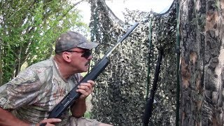 The Shooting Show  heatwave pigeon shooting with Geoff Garrod [upl. by Patt]