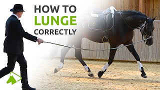 Lunging with the Cavesson or Bridle  What you need to know  wehorse [upl. by Ramsey]