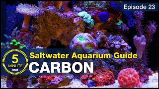 See how easily 150 in carbon produces pristine blue water My favorite reef tank filtration media [upl. by Millhon]