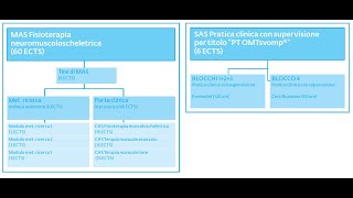 Presentazione del MAS Fisioterapia muscoloscheletrica [upl. by Remmus]