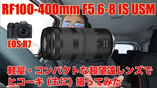 キヤノンRF100400mm F568 IS USM 軽い・コンパクトな超望遠レンズで撮ってみた主にヒコーキ [upl. by Ian]