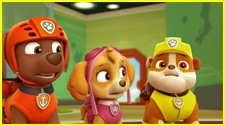 ❤️🌟La Patrulla Canina ❤️🌟SKye y Zuma Rescate en la Nieve ❤️🌟Patrulla de Cachorros Nickelodeon [upl. by Nneb]