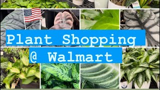 Plant Shopping  Walmart [upl. by Lily]