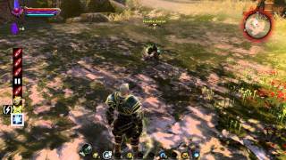 Kingdoms of Amalur Reckoning Combos  Harpoon ChargeCancelling [upl. by Alliuqat541]