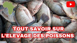 La pisciculture de A à Z de la création d’un bassin piscicole à la vente au marché [upl. by Adnileb]