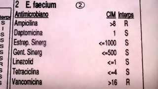 LECTURA INTERPRETADA DEL ANTIBIOGRAMA PARTE 7 USO SEGURO DE LOS ANTIBIOTICOS [upl. by Chlo]