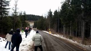 Robert Kubica vs Audi Quattro  Reaction [upl. by Anayhd960]