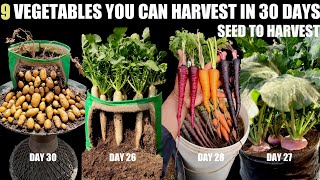 Top 9 Fast Growing Vegetables  SEED TO HARVEST IN 30 DAYS [upl. by Kloman]