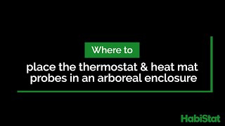 Where to place the thermostat and Heat Mat probe in an arboreal enclosure [upl. by Ierdna398]