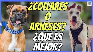 🔴 COLLARES Y ARNESES PARA PERROS ¿CUAL ES MEJOR VENTAJAS E INCONVENIENTES 🔴 [upl. by Aiken]