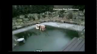 German Man Tries To Jump Into Frozen Pool  Ice pool fail [upl. by Erialb538]