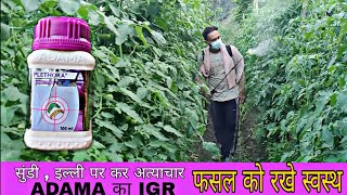 Adama Plethora Insecticide  IGR  Novaluron 525  Indoxacarb 45  Praveen Thakur [upl. by Brandais]