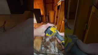 My DEWALT 20V Max XR Oscillating MultiTool gets used everyday dewalt vintagerv [upl. by Enilav455]