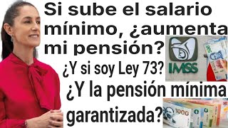 🔥SUBE SALARIO EN 2025 SUBE MI PENSIÓN IMSS PENSIONADOS JUBILADOS PAGOS 1 FEBRERO [upl. by Aisatal]