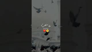 Jo Tal Deta explore naturelovers ytshortsvideo reelsinstagram muslimah reelsinstagram [upl. by Reidar]