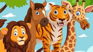 30 Animals Name with their Description  Learn Animals Name in AZ order  Animals Name in English [upl. by Netsirc97]