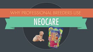 Why professional breeders use Neocare [upl. by Linet611]