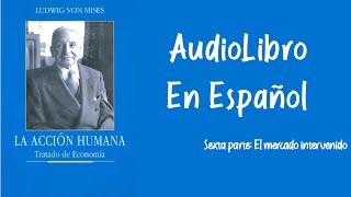 La Acción Humana  Ludwig von Mises  Sexta Parte  Audiolibro [upl. by Andie]