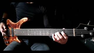 She Wolf  Megadeth  Bass Cover [upl. by Aeresed]