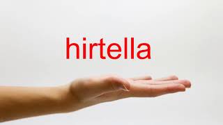 How to Pronounce hirtella  American English [upl. by Neirb]