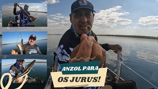 ANZOL PARA PESCAR JURUPESEN COM MINHOCA [upl. by Palocz]