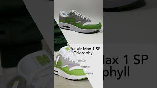 2024 Nike Air Max 1 SP Patta Chlorophyll kixxstar [upl. by Karlise]