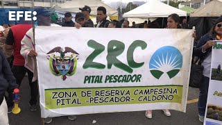 Campesinos de Colombia se toman agencia del gobierno para pedir avances en reforma agraria [upl. by Ahcsat646]