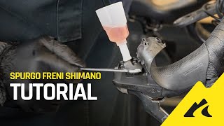 Tutorial base  Come fare lo spurgo dei freni Shimano [upl. by Holli]