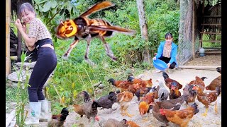 Clearing the farm watering the vegetable garden Peaceful life  Living with nature Epx 87 [upl. by Tiloine]