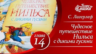 Чудесное путешествие Нильса с дикими гусями Сельма Лагерлеф  Глава 14  Аудиосказка для детей [upl. by Clover]