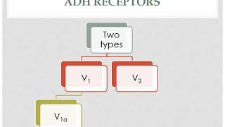 Pharmacology  Kidney  Antidiuretics Part1 [upl. by Anoed]