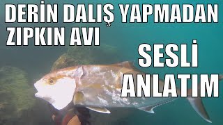 Derine Dalmadan Zıpkınla Balık Avı Nasıl yapılır Sesli Anlatım [upl. by Nylle]