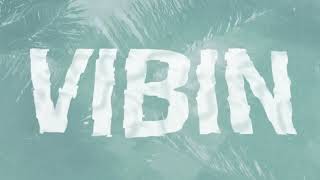 Ylona Garcia  Vibin Official Lyric Video [upl. by Eibrad]