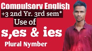 Uses of ses amp ies   plural Number ∆ compulsory English  Not failure by Charan Bindhani [upl. by Edurtreg]