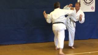 Goju Ryu Karate  Ippon Kumite 4 [upl. by Callan]