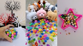 Satisfying Reverse video ASMR 🌈🐕‍🦺🐩 🦮 Funny dog videos ASMR 🦮🐕RELAXING Reverse video ASMR 🌈🐕‍🦺🐩 🦮 [upl. by Ebeohp]