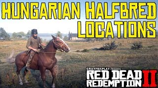 Hungarian Half Breds  Red Dead Redemption 2 [upl. by Helmut968]