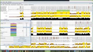 Bioinformatic بالعربي  Jalview software 4 [upl. by Nims]