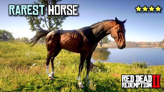 GETTING THE RAREST HORSE IN RDR2 WITH NEW GLITCH [upl. by Qifahs714]