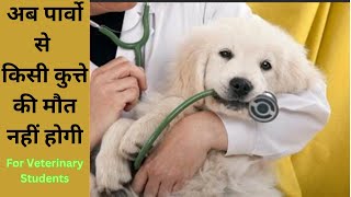 अपने पप्पी में पर्वो पहचानिए  Know Symptoms of Parvo early to save Dog life [upl. by Adliwa575]