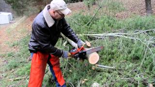 Lombard AP24D little lightning best small chainsaw [upl. by Stanhope]