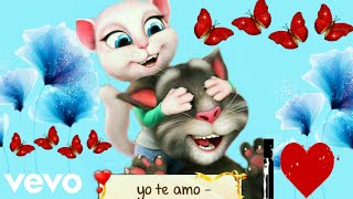 yo te amo — chayanne  gato Tom [upl. by Annoif587]