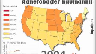 Imipenemresistant Acinetobacter baumannii [upl. by Eleaffar896]