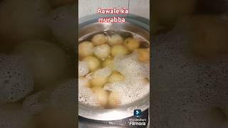 Amla ka murabba amlamurabbarecipe song meenaksheesharma trendingsong love movie shorts [upl. by Adnylam]