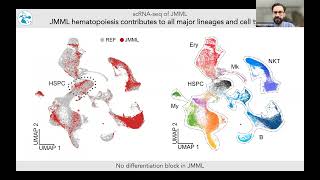 SCOG Virtual Lecture Series  Mark Hartmann DKFZ Heidelberg [upl. by Barbette]