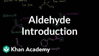 Aldehyde introduction  Aldehydes and ketones  Organic chemistry  Khan Academy [upl. by Floria]