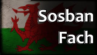 Welsh Folk Song  Sosban Fach [upl. by Akener]